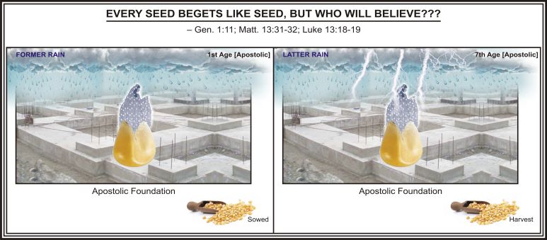 EVERY SEED BEGETS LIKE SEED, BUT WHO WILL BELIEVE???